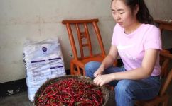 小米辣椒泡椒制作方法(爆红菜谱如何制作美味的小米辣椒泡椒？享受正宗口感)