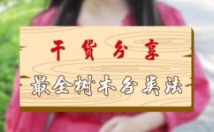 庭树是什么意思(庭树的含义及种类介绍)