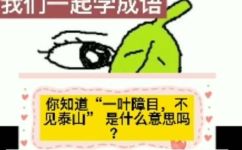 一叶障目不见泰山是什么意思(揭示一叶障目不见泰山的含义 )