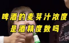 啤酒上的度数是酒精度吗(啤酒度数与酒精度数有什么关系？详解啤酒的酒精含量)