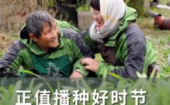 怎样播种菜种(菜种播种技巧大揭秘：跟着这个指南学会正确的种植方法)
