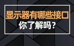 显示器接口类型是什么意思(显示器接口类型解释及其应用场景)