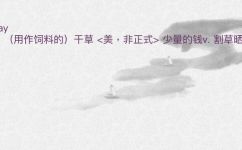 17th怎么读什么意思(详解17th的读法以及意思是什么)