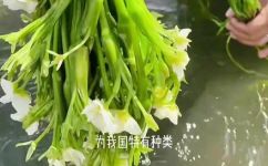 水性杨花是什么意思(水性杨花的含义及用途介绍)