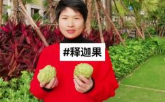 释迦果的功效和作用(发现释迦果的惊人功效与作用，探索其健康益处)