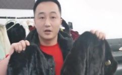 貂皮草什么叫整貂什么叫拼貂(了解貂皮草：认识整貂和拼貂的不同)