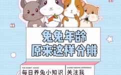 如何判断兔子的年龄(简单易学：如何正确判断兔子的年龄？)