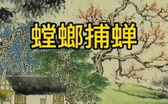螳螂捕蝉的故事(揭秘螳螂捕蝉的传奇故事)