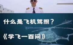 直升机驾照(如何获得直升机驾照及相关考试指南？)