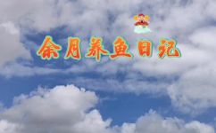 困水的正确方法是什么(困水怎么办？正确的应对方法让你远离危险)