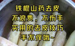 麻山药如何去皮(如何去皮才能更好地使用麻山药？)