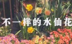 水仙花的颜色是什么(水仙花颜色大全：白色粉色黄色等分享)