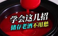 酒可以冰冻保存吗(酒的冰冻储存方式，能否保持其鲜味？)
