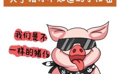 关于猪的动画片(探索猪的动画片世界：了解猪的不同角色和故事情节)