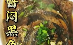 黑鱼怎么做好吃酱焖海黑鱼(如何制作美味的黑鱼酱焖海黑鱼？)