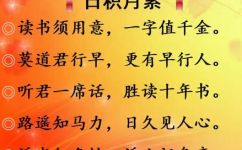 读书须用意一字值千金是什么意思(解读读书须用意一字，值千金的含义是什么？)