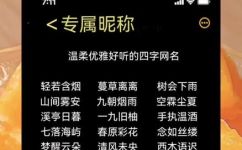 四字清雅女人网名(优雅女性网名，四字简洁好记)