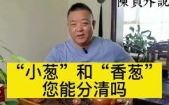 革葱慈葱兰葱兴渠是什么(解析革葱慈葱兰葱兴渠的含义与作用)