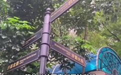 沙面游玩攻略是什么(沙面岛游玩攻略)