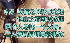 他山之石的下一句(借以攻玉探寻他山之石的深层意义)