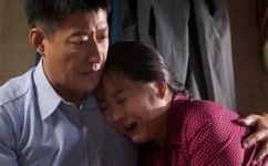 岁岁年年柿柿红的演员(岁岁年年柿柿红：一位演员的成功之路)