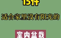 家庭种植什么植物比较好(家庭种植推荐：哪些植物适合在家中种植？)