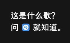 苹果shazam怎么用(如何使用苹果shazam进行音乐识别？)