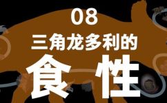 三角龙吃什么(三角龙的食物以及饮食习惯分析)