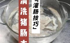 猪肠衣怎么洗才干净(猪肠衣清洗攻略：全面解析如何清洗猪肠衣，让它焕然一新)