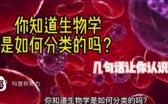 生物的分类生物的分类大全(生物分类：全面了解生物分类体系及各类生物)