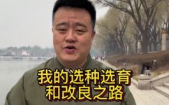牛的养殖技术(实用指南牛的养殖技术详解，从品种选育到饲养管理一网打尽)
