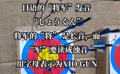 将军读音和释义(如何正确发音将军？含义解析)