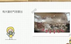 水烧开是什么样子的(水烧开的样子  详解烧水的过程和特征)