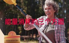 人体每天自身需要消耗多少能量(探讨人体每日自身所需消耗的能量量及其影响因素)