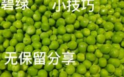 青豆冷水下锅要煮多久(青豆冷水下锅烹煮技巧解析：究竟需要煮多久呢？)