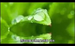 雨泽的寓意(解读雨泽寓意，探索其深刻含义)