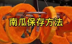 蒸南瓜第二天吃怎么保存(蒸南瓜如何妥善保存以便第二天食用)
