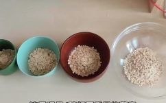 燕麦怎么吃减肥效果好(燕麦怎样吃更有助于减肥？分享实用的燕麦减肥方式)