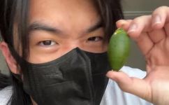 新鲜槟榔是什么味道(探寻新鲜槟榔的独特口感与风味)