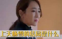 鸡毛飞上天结局杨雪(鸡毛飞上天结局解析：杨雪走向何方？)