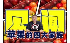 苹果是水果吗(苹果究竟属于什么种类？水果类别中该怎么归类？)
