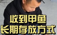 甲鱼放在桶里能活多久(甲鱼存活期如何提高？如何让甲鱼在桶里长时间存活？)