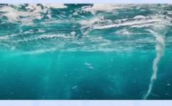 海水可以喝吗(海水饮用安全吗？了解海水的饮用方法和注意事项)