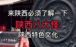 陕西八大怪是什么美食(陕西八大怪：揭秘陕西的特色美食之大揭秘)