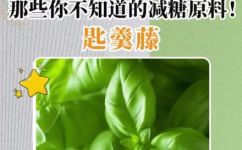 匙羹藤的功效与作用(探秘匙羹藤：功效与作用详解，让你了解它的独特魅力)
