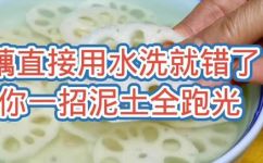 莲藕怎么才能洗去泥腥味(莲藕清洗技巧：有效去除泥腥味)