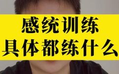 感统训练方法有哪些(提升感统能力之路：全面解析感统训练方法)