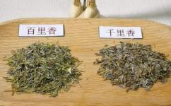百里香是什么介绍(百里香：介绍功效用法)