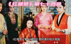 红楼梦第七十四回概括(红楼梦第七十四回：宝钗识别颦儿王熙凤意狠心狠 记述)