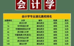 学会计专业武汉哪个学校好(武汉哪所大学的会计专业比较好？ 学会计找准武汉优质高校)